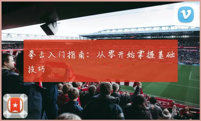 拳击入门指南:从零开始掌握基础技巧
