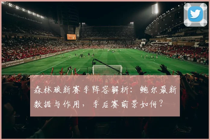 森林狼新赛季阵容解析：鲍尔最新数据与作用，季后赛前景如何？